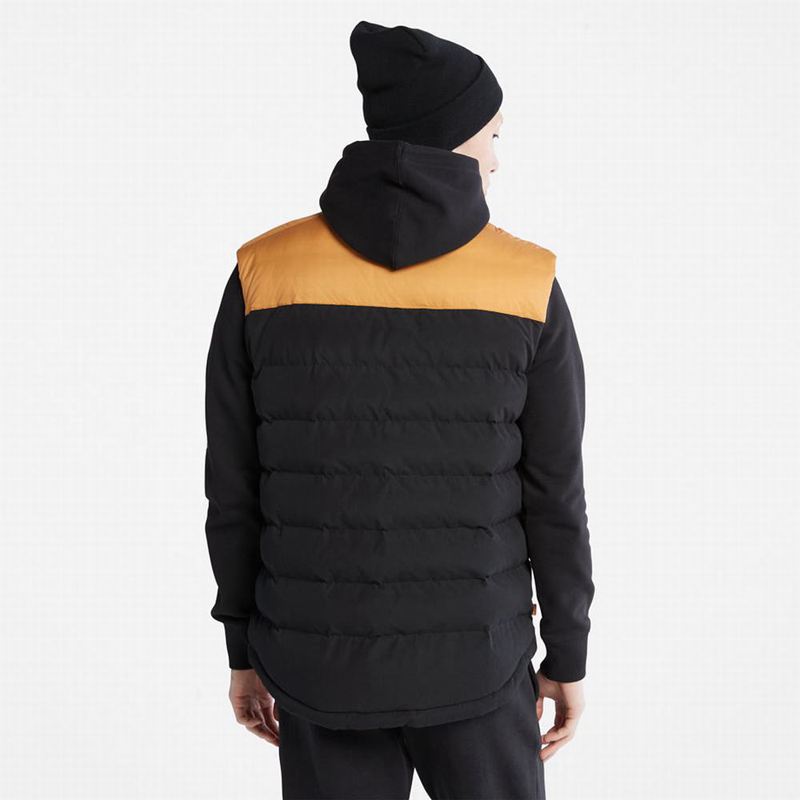 Timberland South Twin Prsluk Žute | 98728303