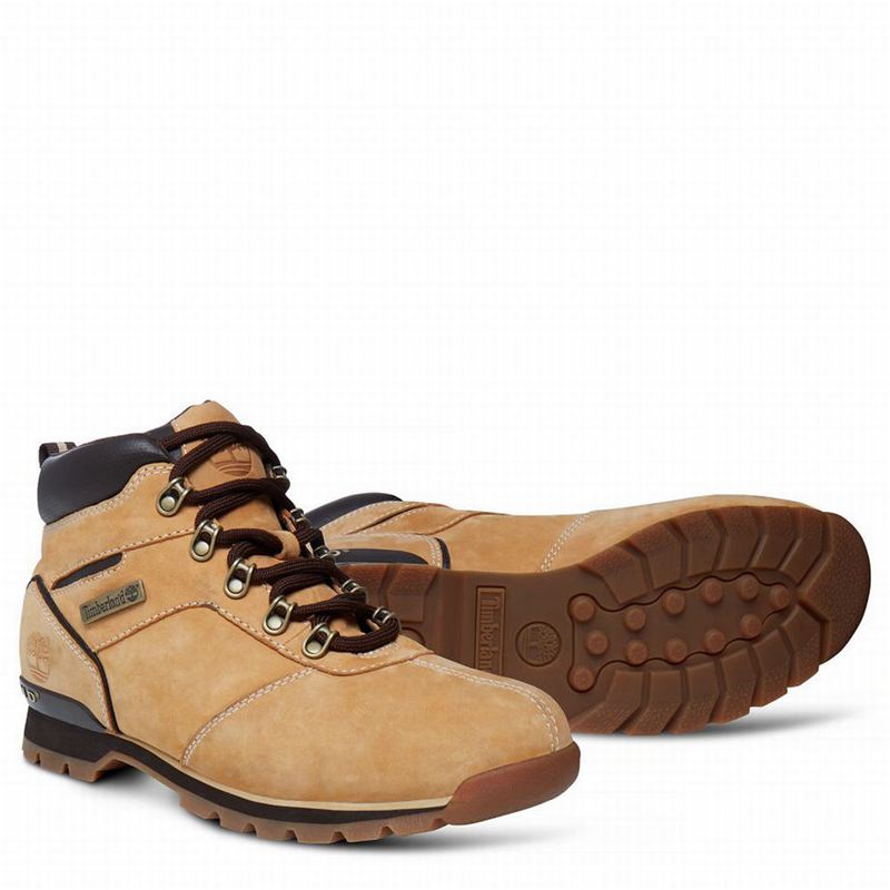 Timberland Splitrock 2 Planinarske Cipele Žute | 46600379