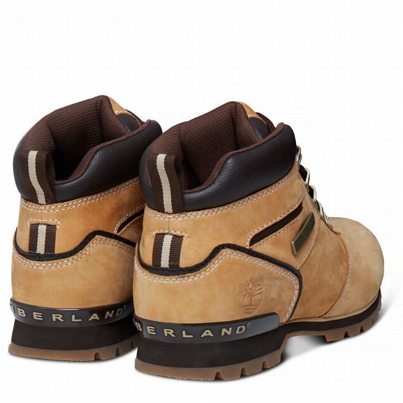 Timberland Splitrock 2 Planinarske Cipele Žute | 46600379