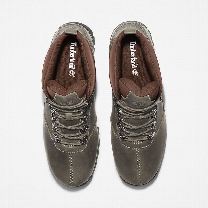 Timberland Splitrock Planinarske Cipele Maslinasto Zelene | 7667827