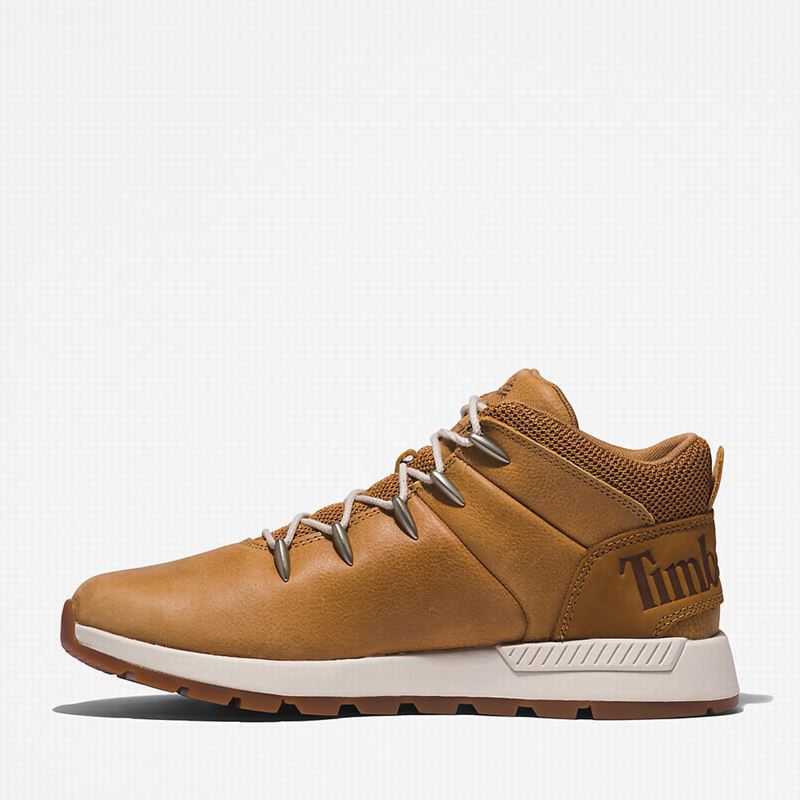 Timberland Sprint Mid Planinarske Cipele Smeđe | 2224082