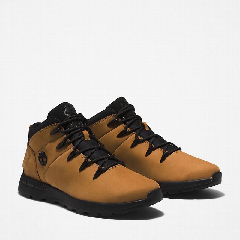 Timberland Sprint Mid Planinarske Cipele Crne | 26157296
