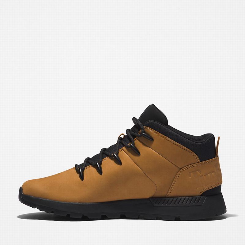 Timberland Sprint Mid Planinarske Cipele Crne | 26157296