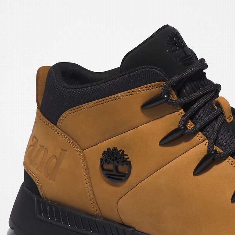 Timberland Sprint Mid Planinarske Cipele Crne | 26157296