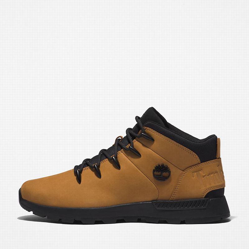 Timberland Sprint Mid Planinarske Cipele Crne | 26157296