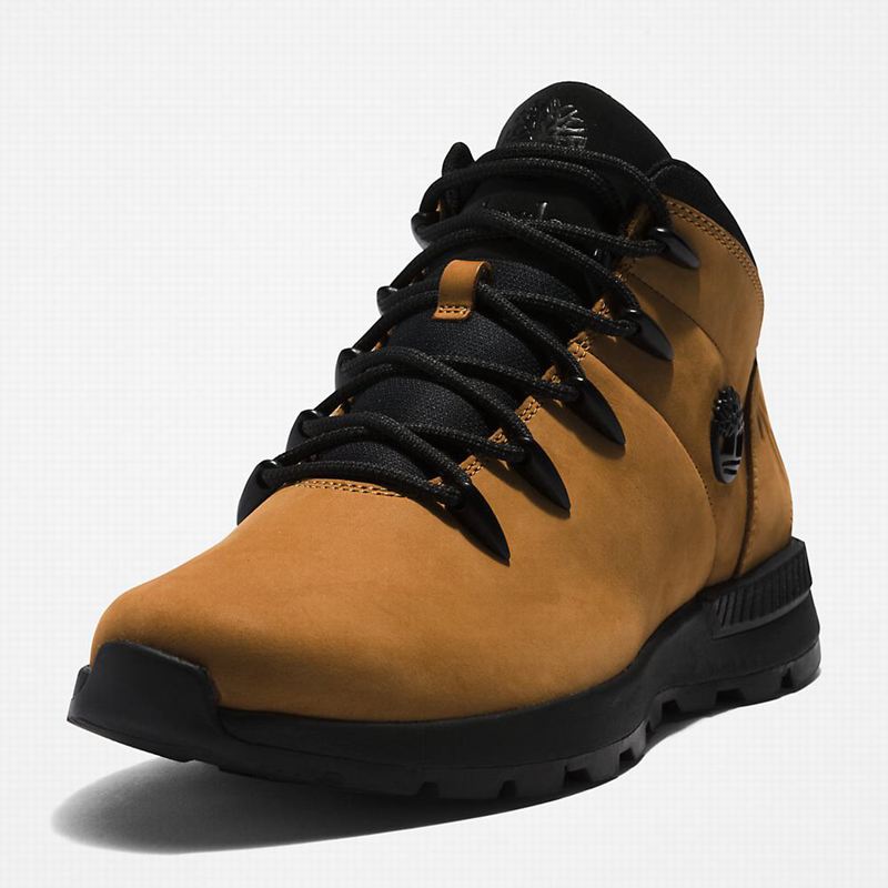 Timberland Sprint Mid Planinarske Cipele Crne | 26157296
