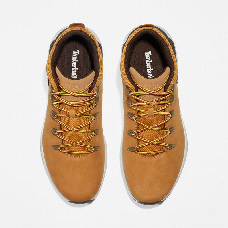 Timberland Sprint Mid Planinarske Cipele Žute | 55742804