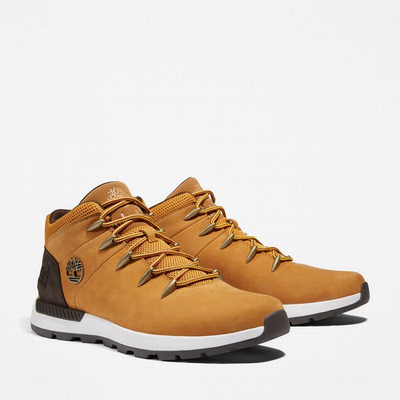 Timberland Sprint Mid Planinarske Cipele Žute | 55742804