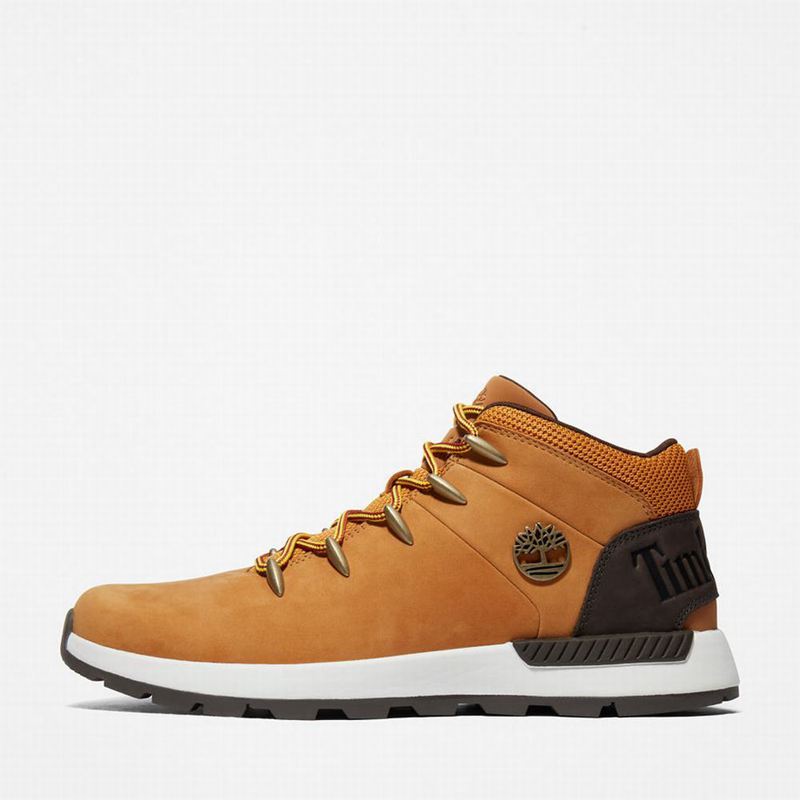 Timberland Sprint Mid Planinarske Cipele Žute | 55742804