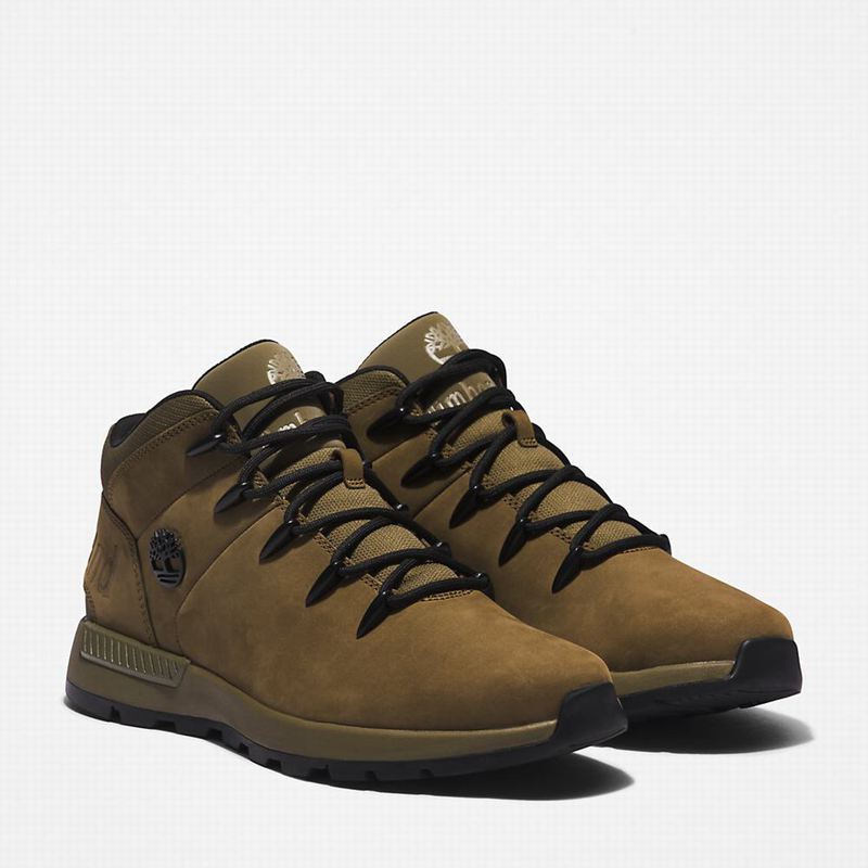 Timberland Sprint Mid Planinarske Cipele Maslinasto Zelene | 82441498