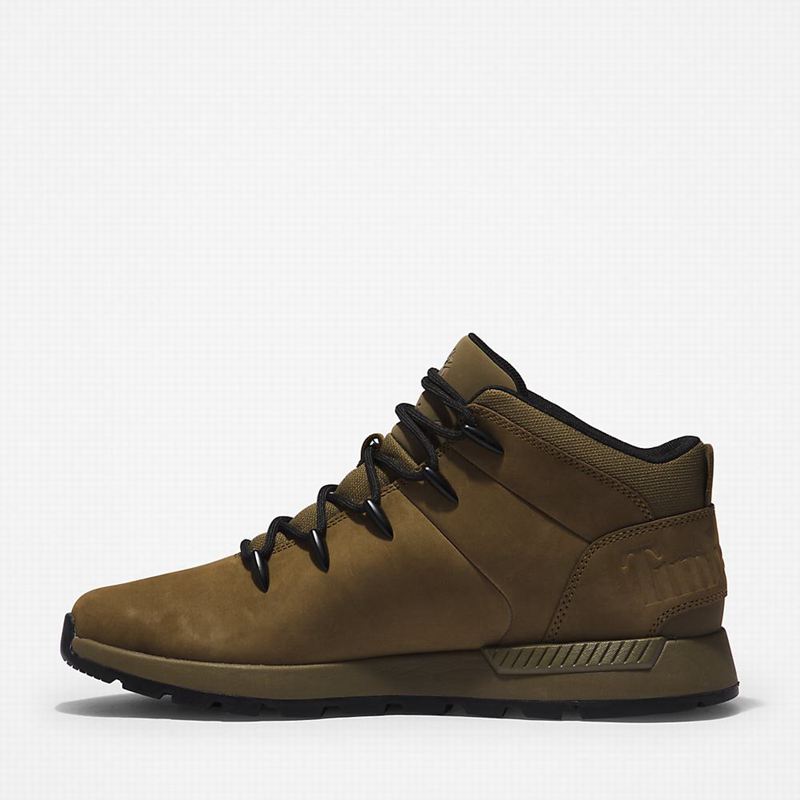 Timberland Sprint Mid Planinarske Cipele Maslinasto Zelene | 82441498