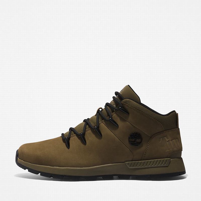 Timberland Sprint Mid Planinarske Cipele Maslinasto Zelene | 82441498