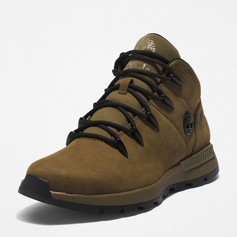 Timberland Sprint Mid Planinarske Cipele Maslinasto Zelene | 82441498
