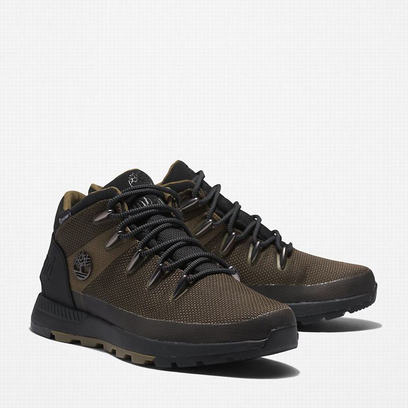 Timberland Sprint Trekker Chukka Čizme Maslinasto Zelene | 24093752