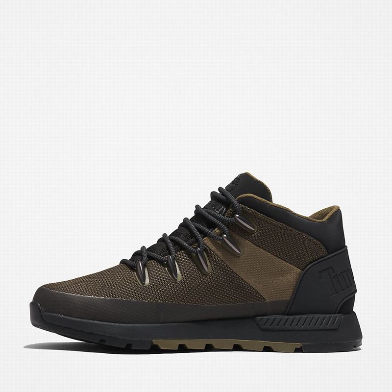 Timberland Sprint Trekker Chukka Čizme Maslinasto Zelene | 24093752
