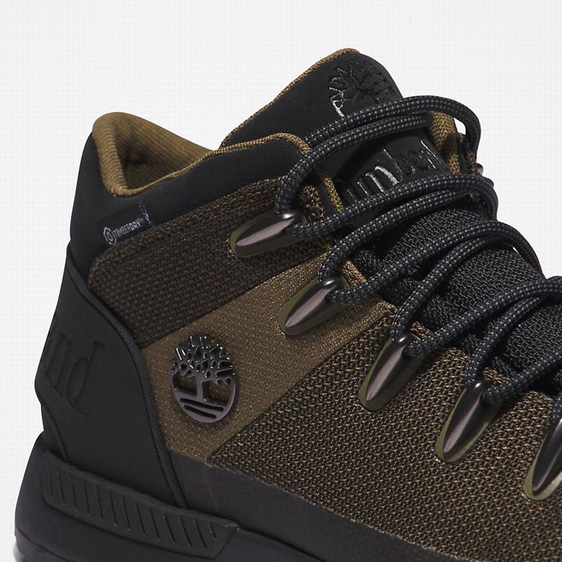 Timberland Sprint Trekker Chukka Čizme Maslinasto Zelene | 24093752