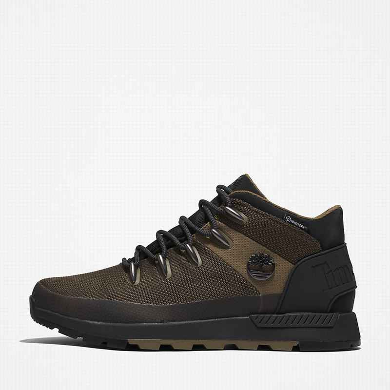Timberland Sprint Trekker Chukka Čizme Maslinasto Zelene | 24093752
