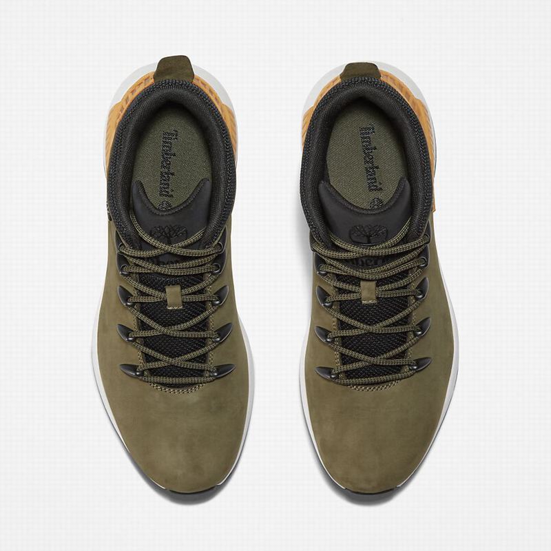 Timberland Sprint Trekker Chukka Čizme Maslinasto Zelene | 79669734