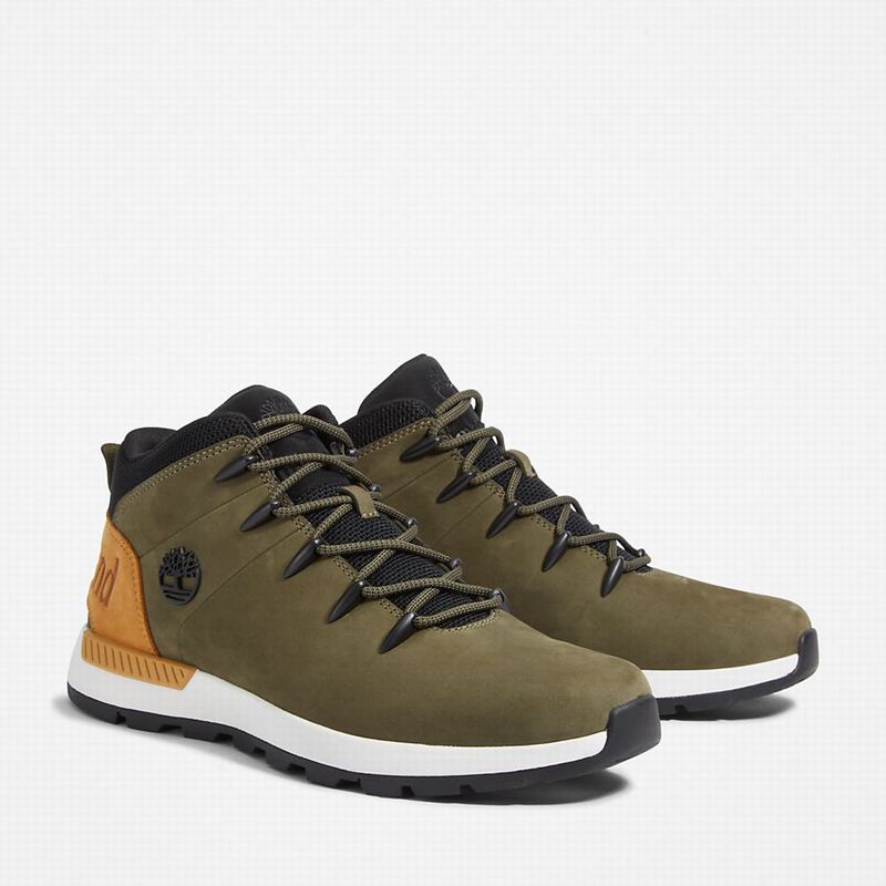 Timberland Sprint Trekker Chukka Čizme Maslinasto Zelene | 79669734