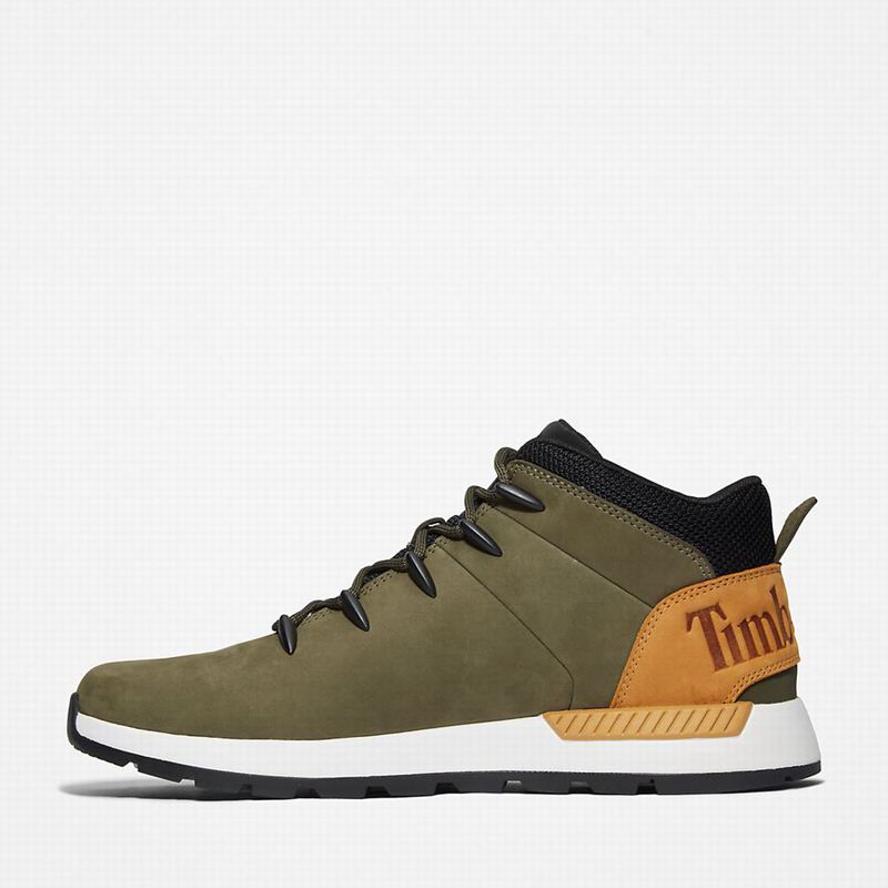 Timberland Sprint Trekker Chukka Čizme Maslinasto Zelene | 79669734