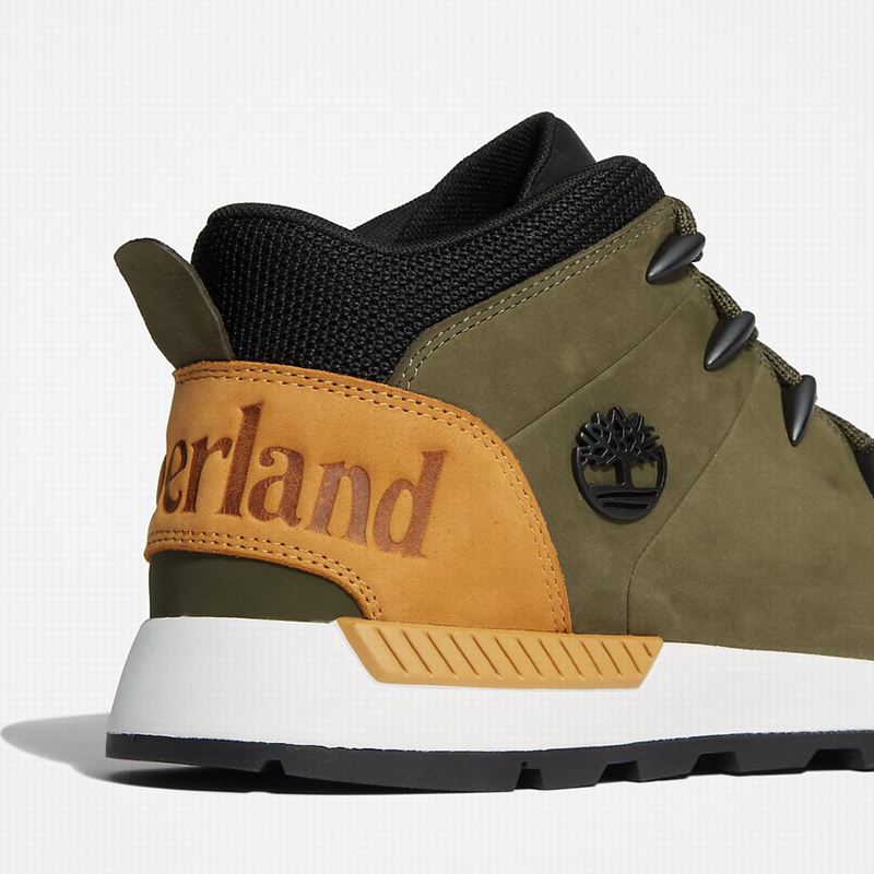 Timberland Sprint Trekker Chukka Čizme Maslinasto Zelene | 79669734