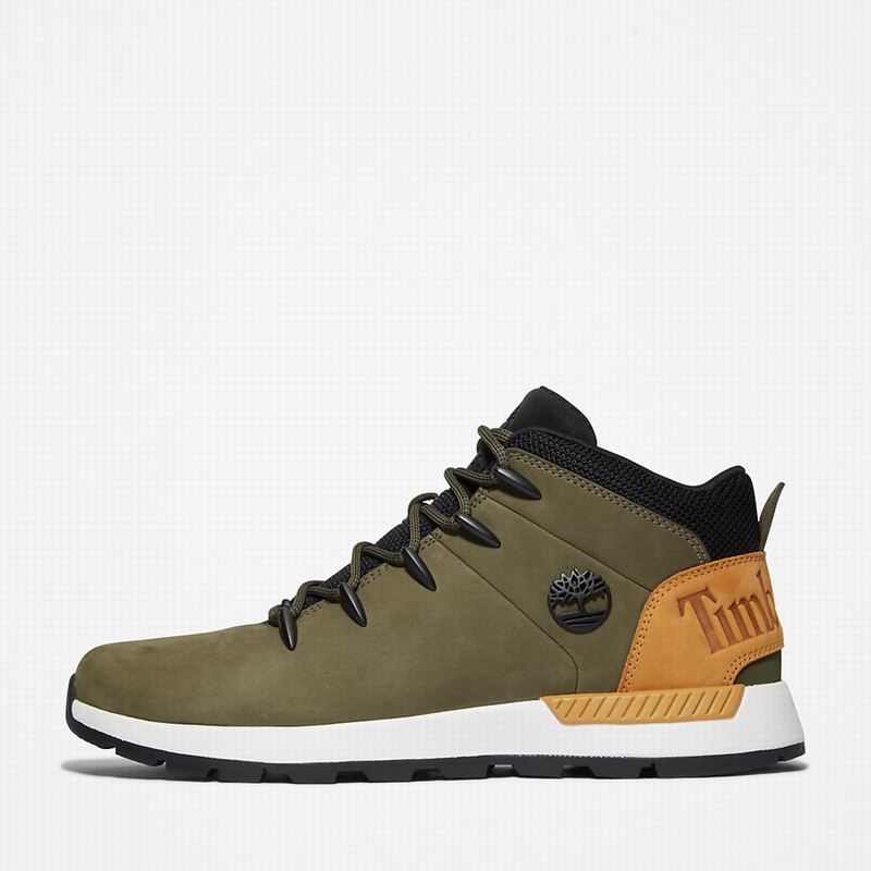 Timberland Sprint Trekker Chukka Čizme Maslinasto Zelene | 79669734