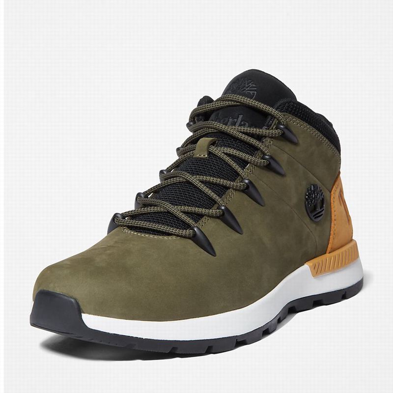 Timberland Sprint Trekker Chukka Čizme Maslinasto Zelene | 79669734