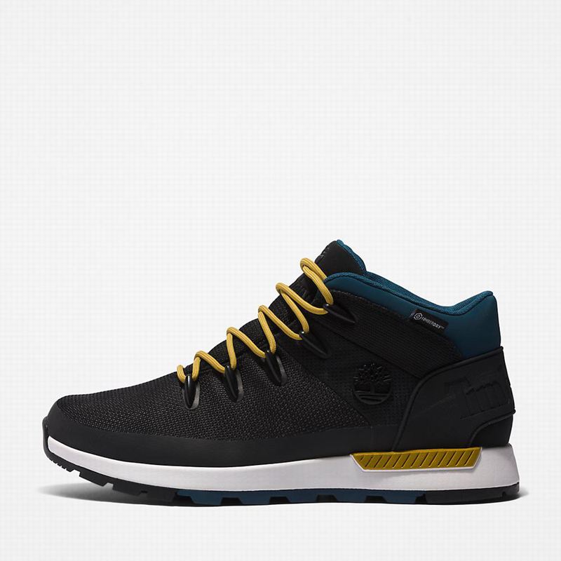 Timberland Sprint Trekker Chukka Čizme Plave | 52674373