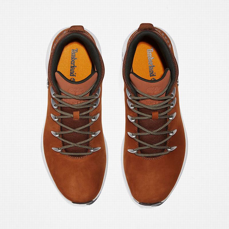 Timberland Sprint Trekker Chukka Čizme Smeđe | 71075917