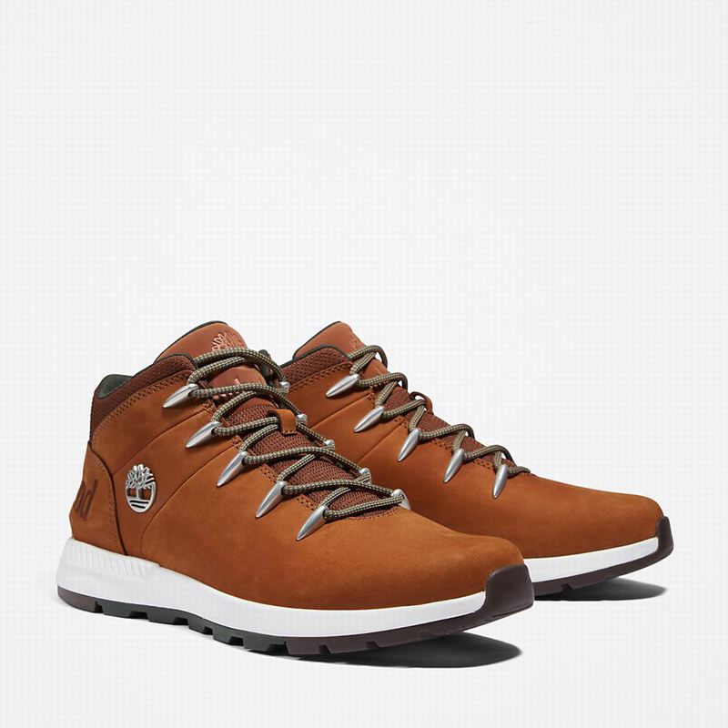 Timberland Sprint Trekker Chukka Čizme Smeđe | 71075917