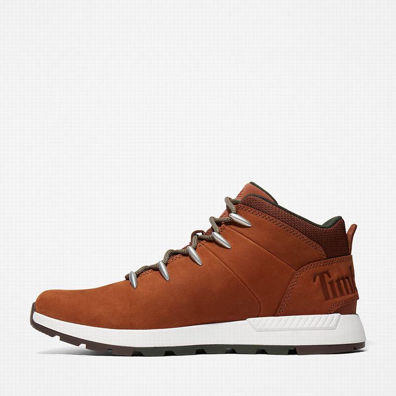 Timberland Sprint Trekker Chukka Čizme Smeđe | 71075917