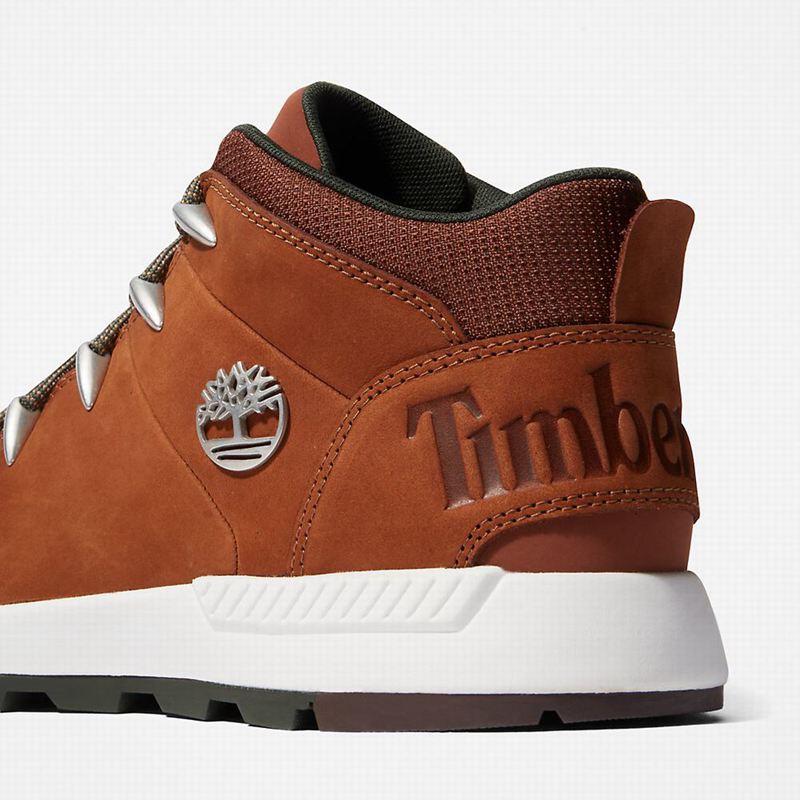 Timberland Sprint Trekker Chukka Čizme Smeđe | 71075917