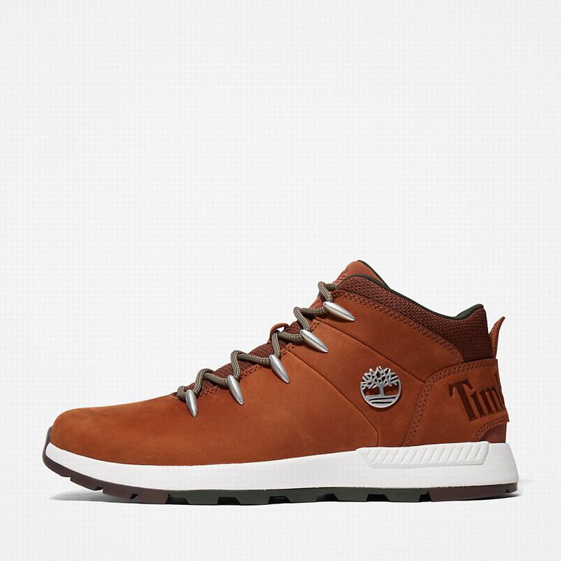 Timberland Sprint Trekker Chukka Čizme Smeđe | 71075917