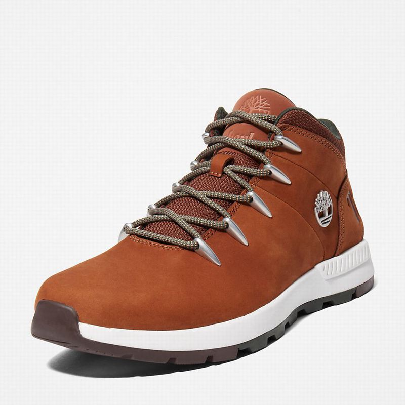 Timberland Sprint Trekker Chukka Čizme Smeđe | 71075917