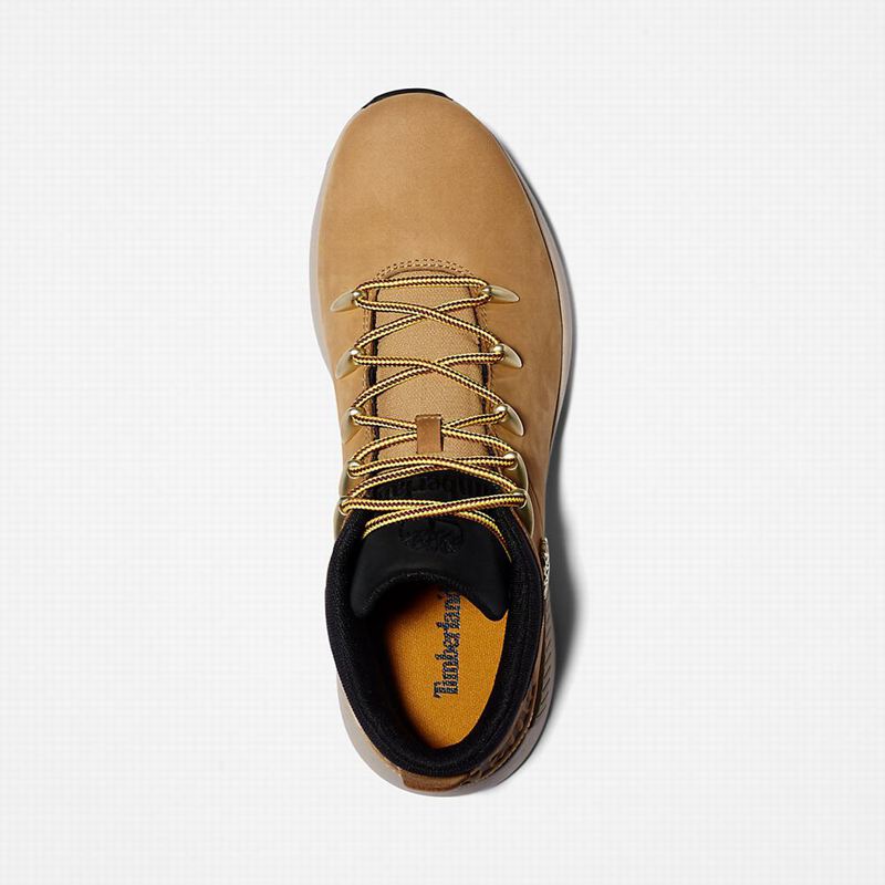 Timberland Sprint Trekker Chukka Čizme Žute | 56489929