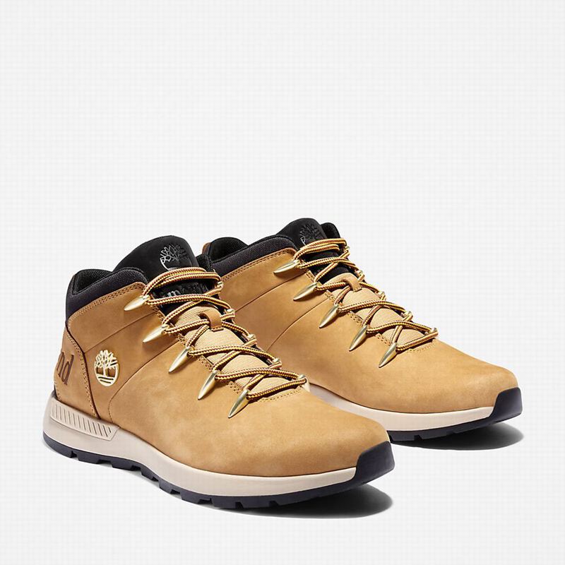 Timberland Sprint Trekker Chukka Čizme Žute | 56489929