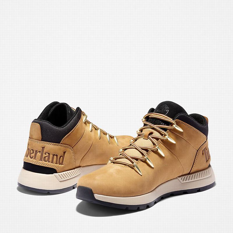 Timberland Sprint Trekker Chukka Čizme Žute | 56489929