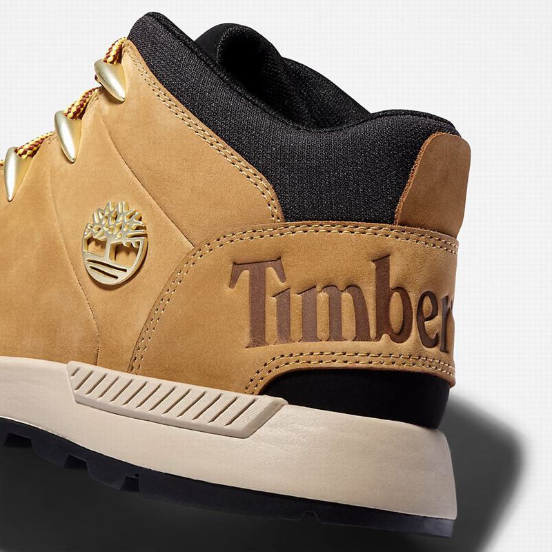 Timberland Sprint Trekker Chukka Čizme Žute | 56489929