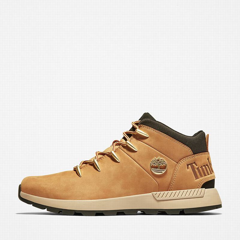 Timberland Sprint Trekker Chukka Čizme Žute | 56489929