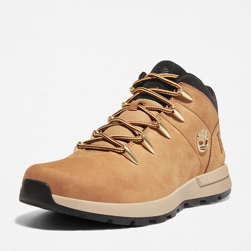 Timberland Sprint Trekker Chukka Čizme Žute | 56489929