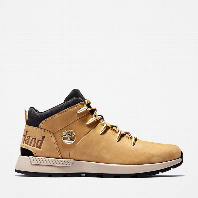 Timberland Sprint Trekker Chukka Čizme Žute | 56489929