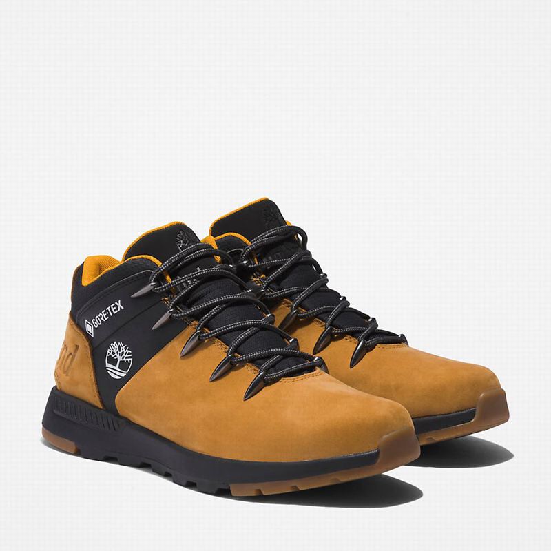 Timberland Sprint Trekker Gore-Tex Chukka Čizme Smeđe | 14262612