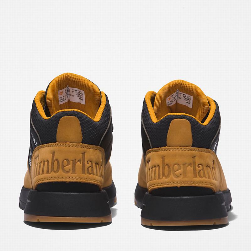 Timberland Sprint Trekker Gore-Tex Chukka Čizme Smeđe | 14262612