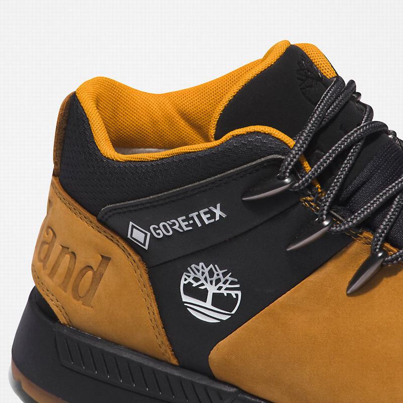 Timberland Sprint Trekker Gore-Tex Chukka Čizme Smeđe | 14262612