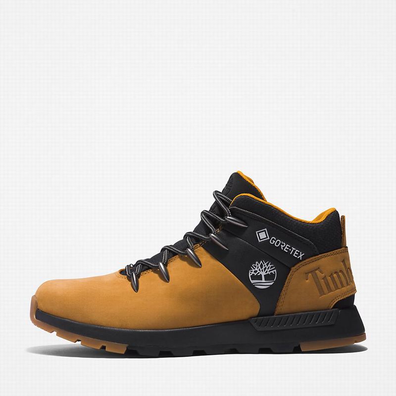 Timberland Sprint Trekker Gore-Tex Chukka Čizme Smeđe | 14262612