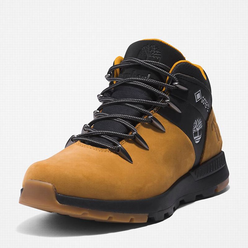 Timberland Sprint Trekker Gore-Tex Chukka Čizme Smeđe | 14262612