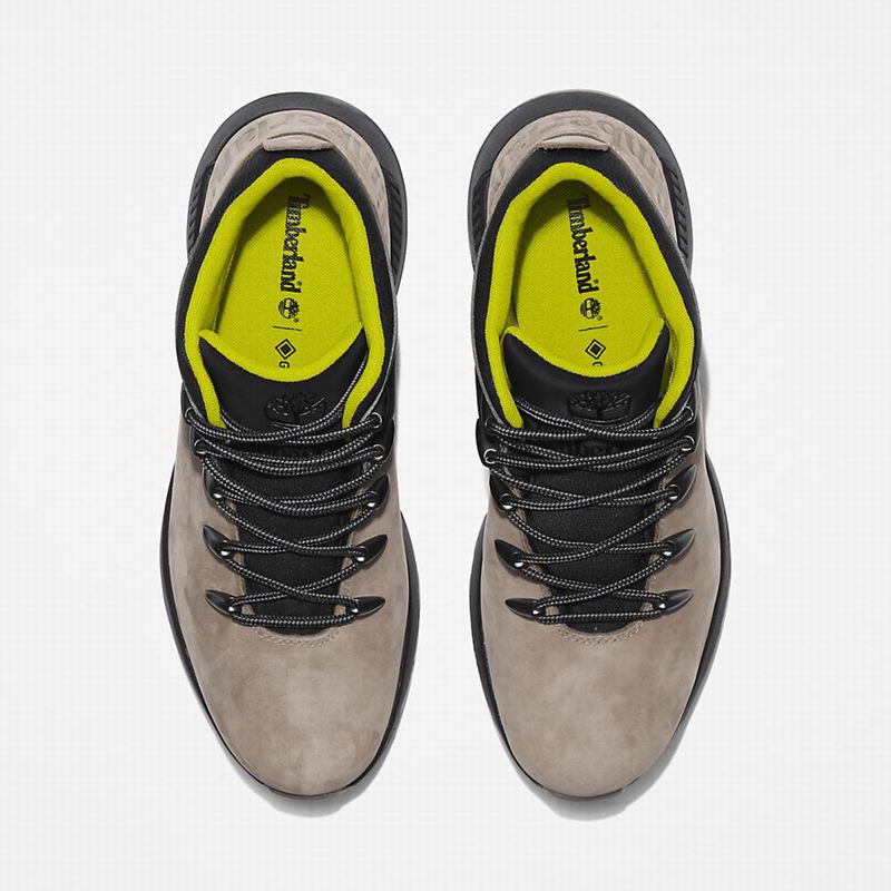 Timberland Sprint Trekker Gore-Tex Chukka Čizme Bež | 47267440