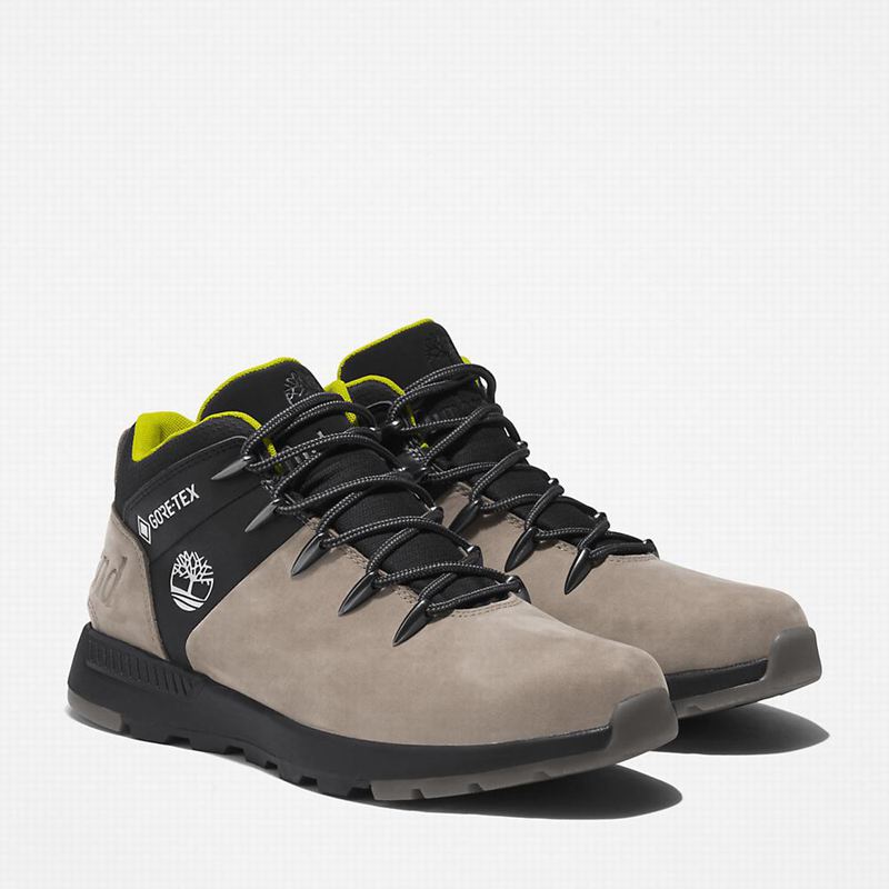 Timberland Sprint Trekker Gore-Tex Chukka Čizme Bež | 47267440