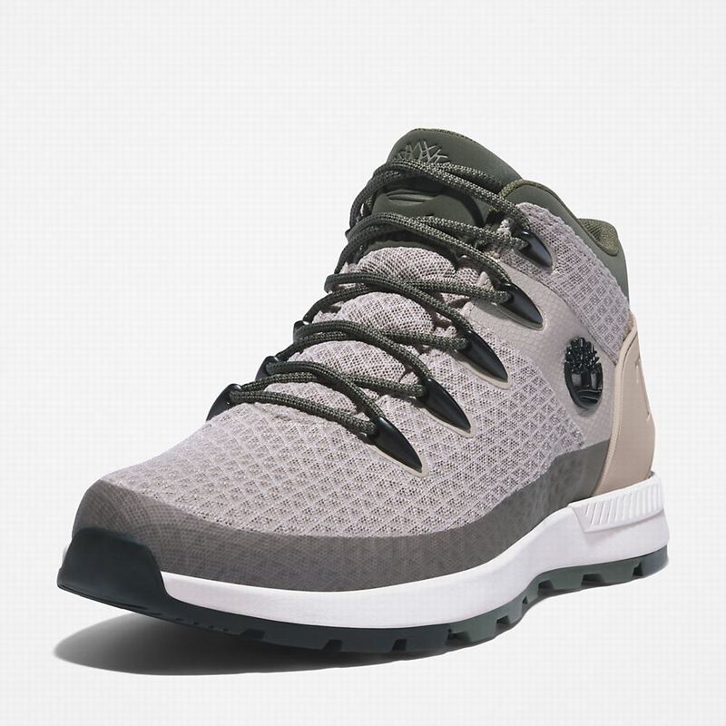 Timberland Sprint Trekker Mid Hiker Tenisice Bež | 81326701