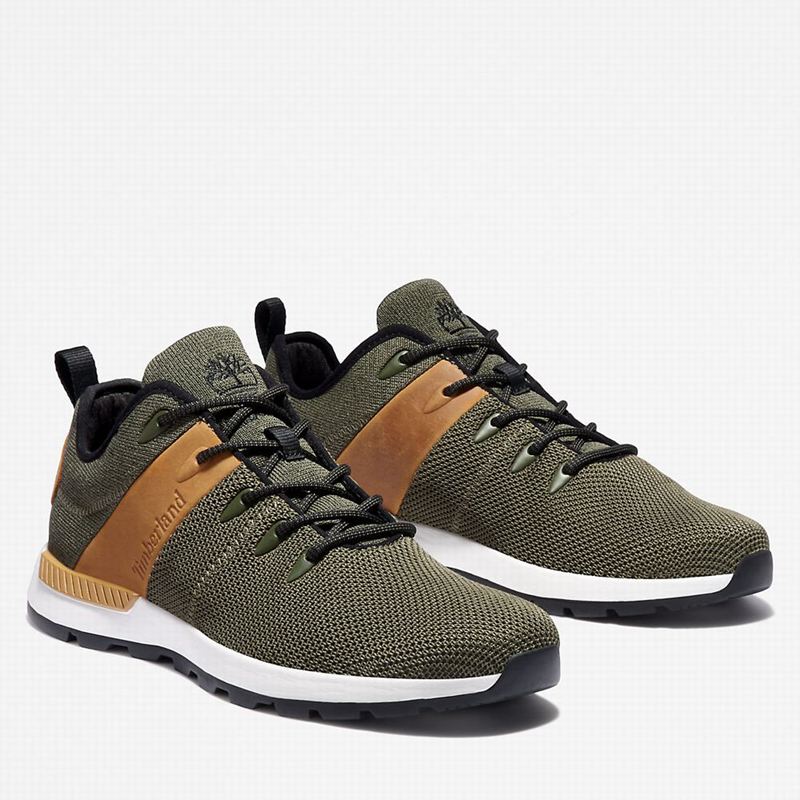 Timberland Sprint Trekker Tenisice Maslinasto Zelene | 14332518